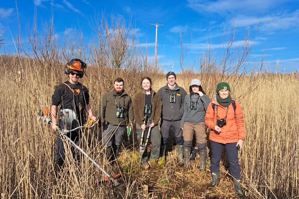 Six people with field kit stand in tall grass, ready for reedbed restoration under a blue sky.